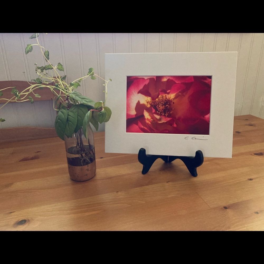 New Original Signed Photography